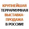 http://reptilium.ru