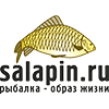 https://salapin.ru/